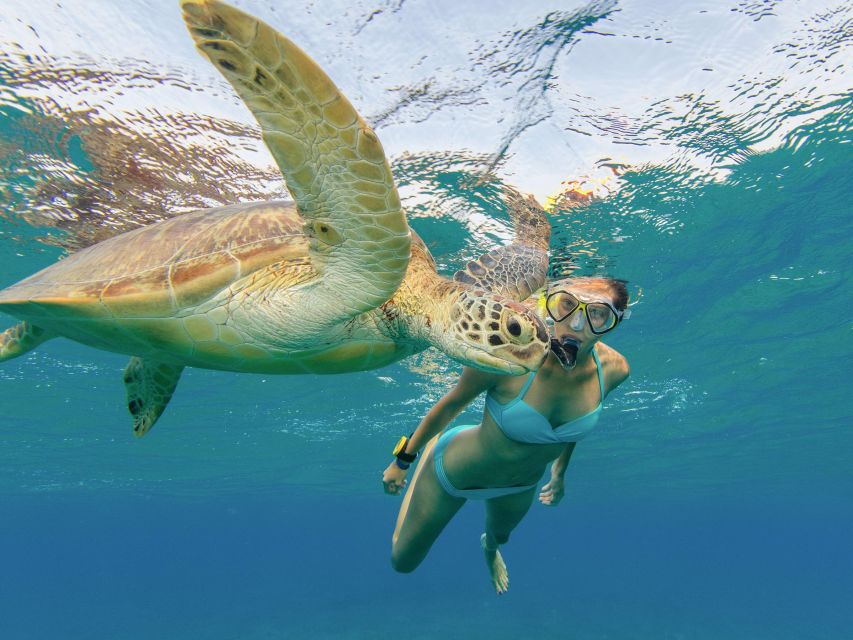 Oahu Snorkeling with Turtles, Water Scooter, Paddleboard - Paddleboarding on open water