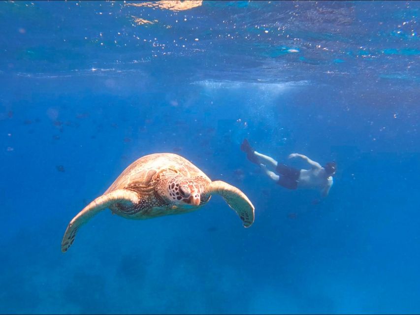 Oahu Snorkeling with Turtles, Water Scooter, Paddleboard - Musubi, cup noodles, and a warm finish