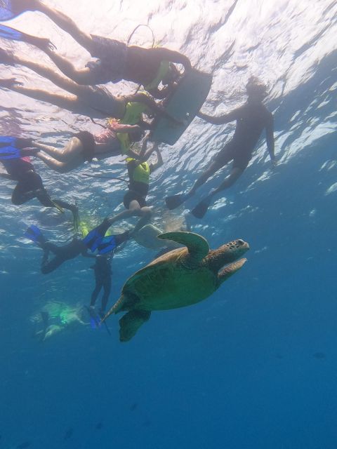 Oahu Snorkeling with Turtles, Water Scooter, Paddleboard - Pickup points and the short schedule