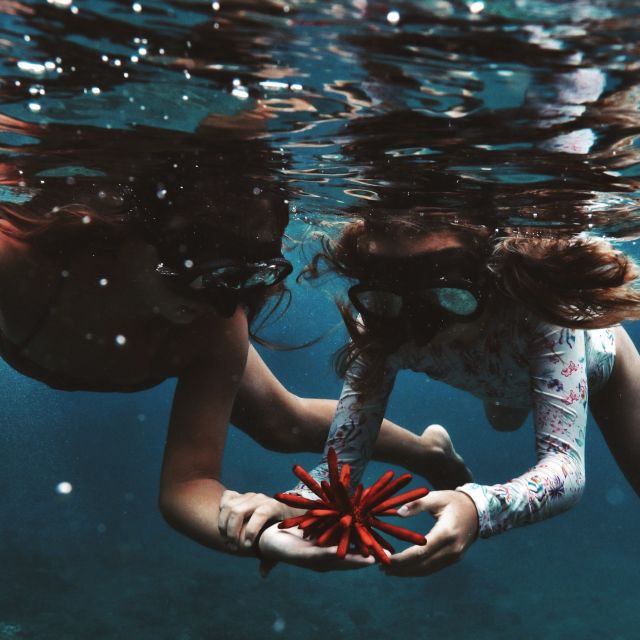 Oahu: Turtle Canyon Snorkeling Boat Tour - Swimming among fish and coral