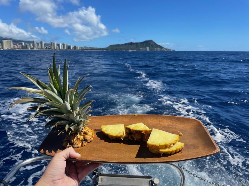 Oahu: Turtle Canyon Snorkeling Boat Tour - Meeting the green sea turtles