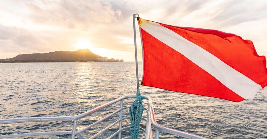 Oahu: Waikiki Turtle Canyons Cruise and Snorkel Excursion - What the $89 price buys you