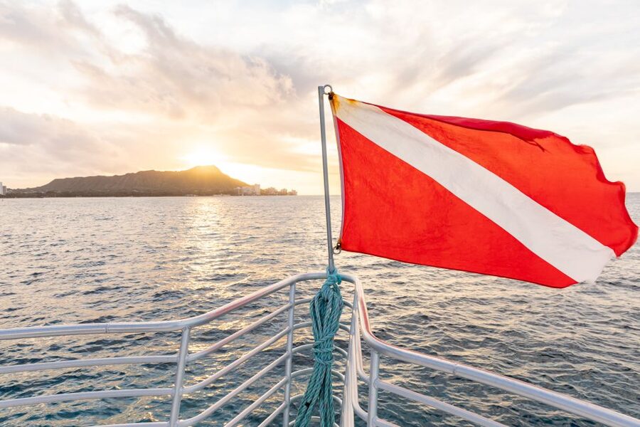 Oahu: Waikiki Turtle Canyons Cruise and Snorkel Excursion - The 15-minute safety briefing matters