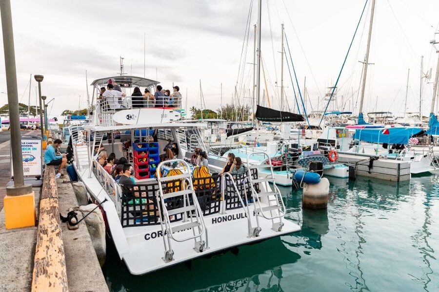 Oahu: Waikiki Turtle Canyons Cruise and Snorkel Excursion - Seasickness and swimming comfort