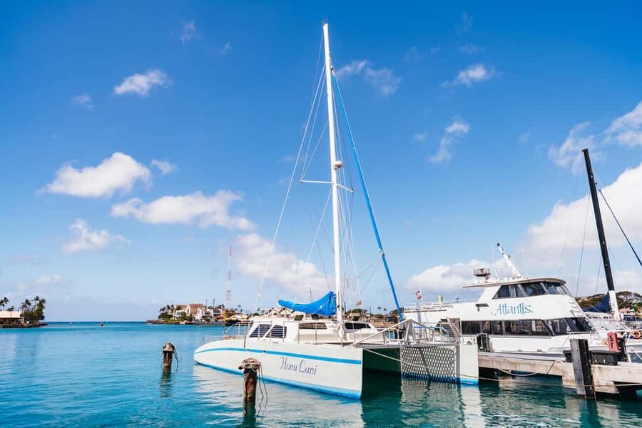 Oahu: Waikiki Turtle Snorkel Sail - Quick takeaways from the Honu Lani