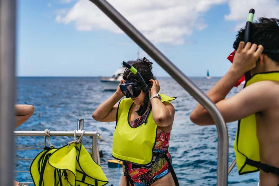 Oahu: Waikiki Turtle Snorkel Sail - From Kewalo Harbor to Waikiki’s turtle reefs