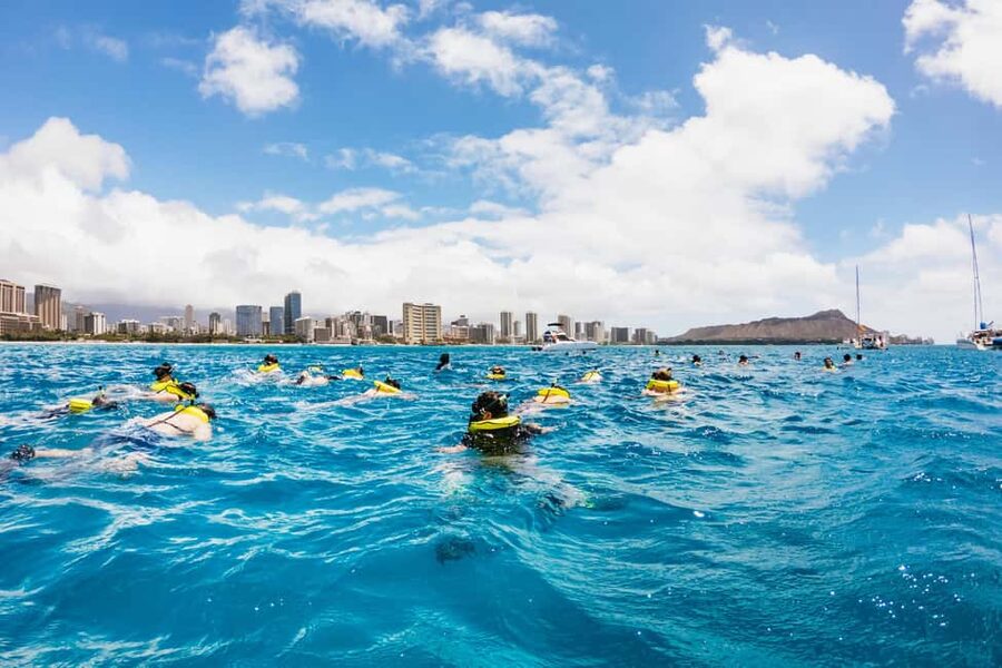 Oahu: Waikiki Turtle Snorkel Sail - Snacks, cocktails, and the ride back