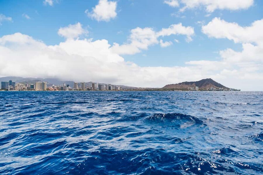 Oahu: Waikiki Turtle Snorkel Sail - Should you book the Waikiki Turtle Snorkel Sail?