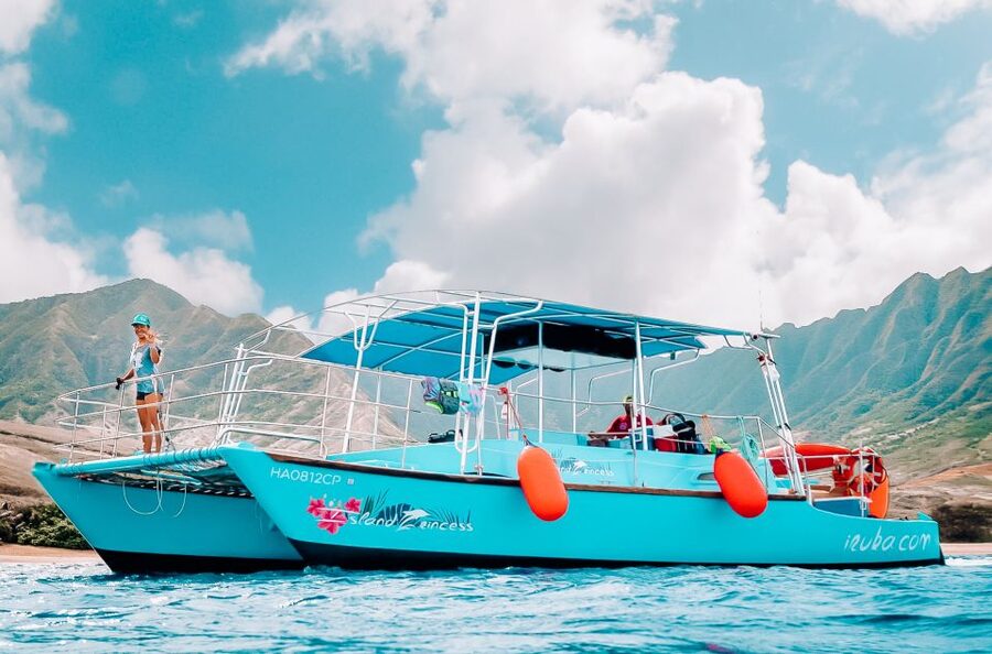 Oahu: Waikiki Turtle Snorkeling Adventure - Who will enjoy this outing most