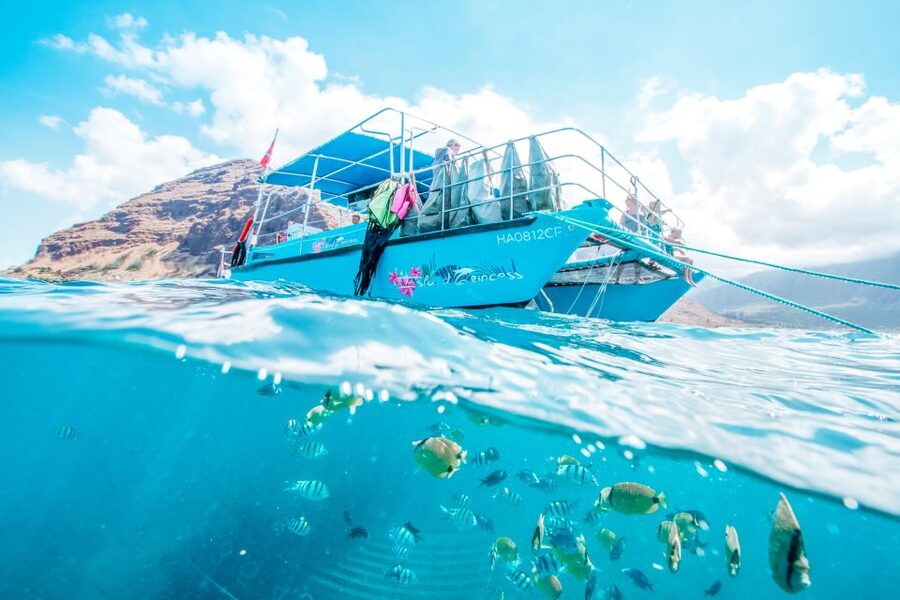 Oahu: Waikiki Turtle Snorkeling Adventure - Should you book the Waikiki Turtle Snorkeling Adventure?