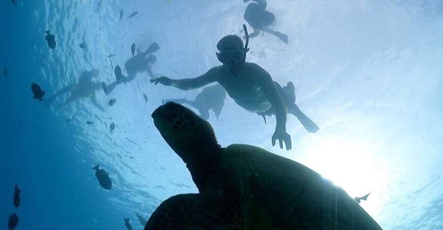 Oahu: Waikiki Turtle Snorkeling Adventure Cruise - The safety briefing before you enter