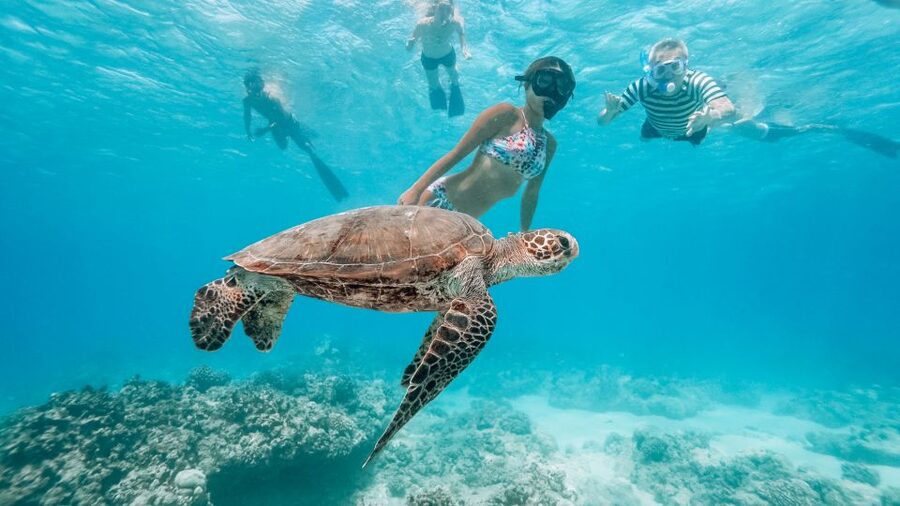 Oahu: Waikiki Turtle Snorkeling Adventure - The cruise past Diamond Head and Waikiki Beach
