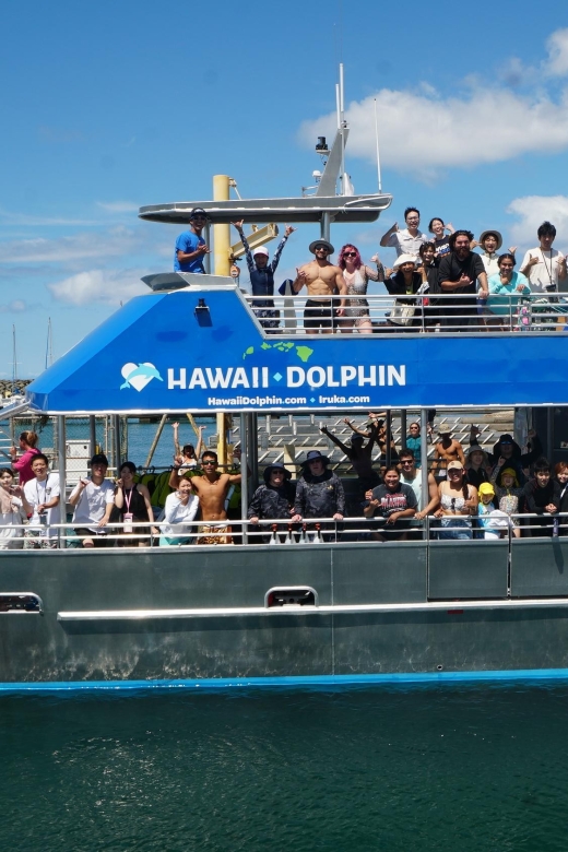Oahu: Wild Dolphins Swim Turtle Snorkel Tour & Waterslide - The early pickup is part of the deal