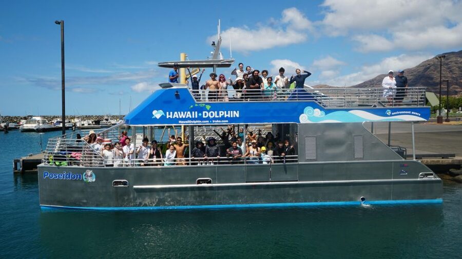 Oahu: Wild Dolphins Swim Turtle Snorkel Tour & Waterslide - Is the $199 price fair?