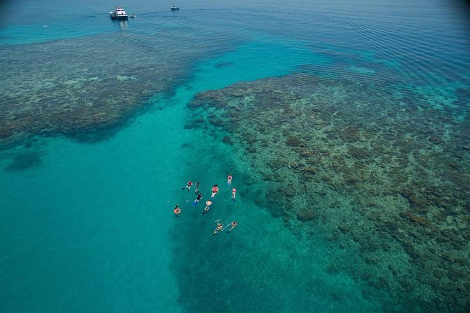 Ocean Freedom Great Barrier Reef Luxury Snorkel and Dive Cruise - Key points before you book