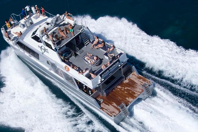 Ocean Freedom Great Barrier Reef Luxury Snorkel and Dive Cruise - Wonder Wall brings the reef close to the surface