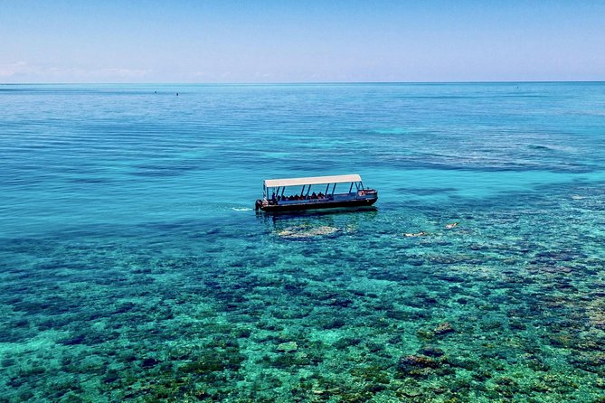 Ocean Freedom Great Barrier Reef Luxury Snorkel and Dive Cruise - The glass-bottom boat adds a useful second view
