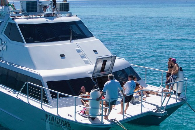 Ocean Freedom Great Barrier Reef Luxury Snorkel and Dive Cruise - First-time snorkelers get real help