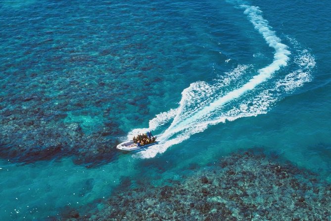 Ocean Freedom Great Barrier Reef Luxury Snorkel and Dive Cruise - Optional scuba adds flexibility for certified and new participants