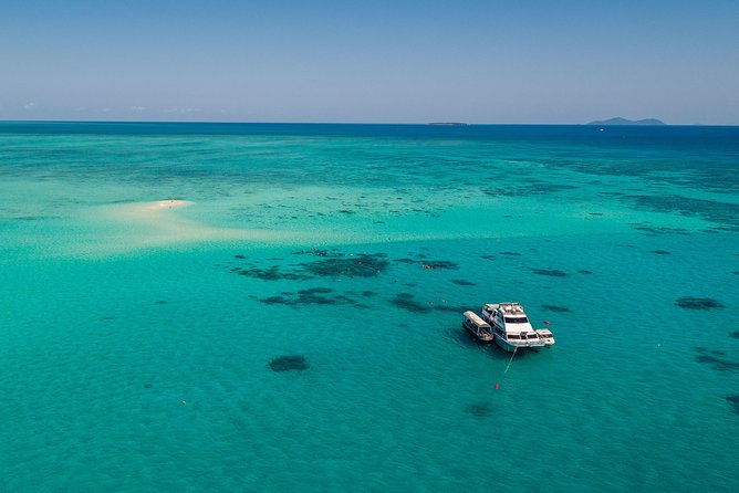 Ocean Freedom Great Barrier Reef Luxury Snorkel and Dive Cruise - The lunch spread is better than the usual boat buffet