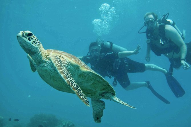 Ocean Freedom Great Barrier Reef Luxury Snorkel and Dive Cruise - Comfort, crowding, and the barefoot rule
