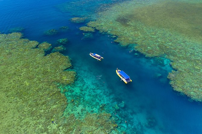 Ocean Rafting: Whitehaven Beach, Snorkelling & Hill Inlet Lookout - What the guides add to the day