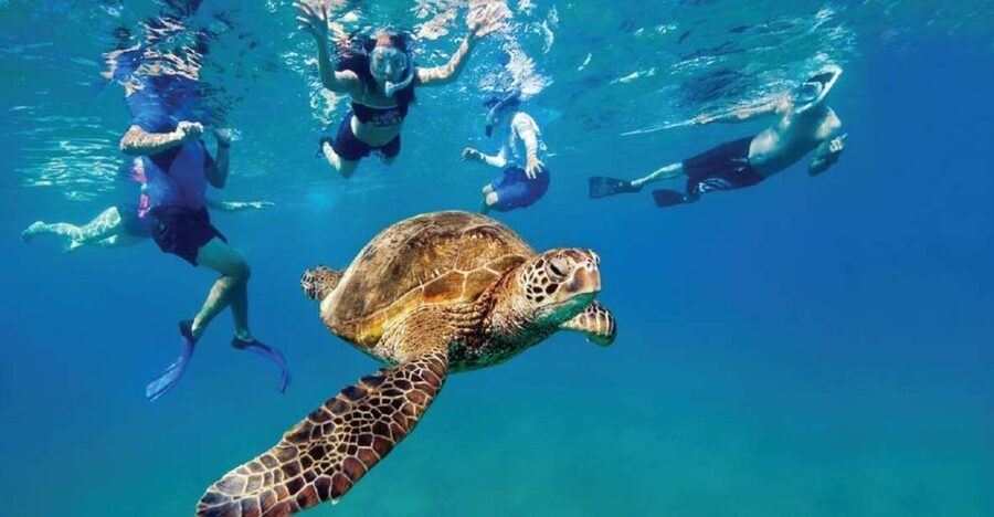 Ocean Reef Snorkeling and Paddleboarding - Key points to know before you book