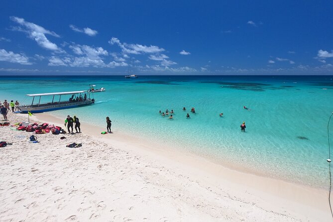 Ocean Spirit Sail to Michaelmas Cay Snorkel or Dive, from Cairns - Why Michaelmas Cay makes a strong Cairns reef day