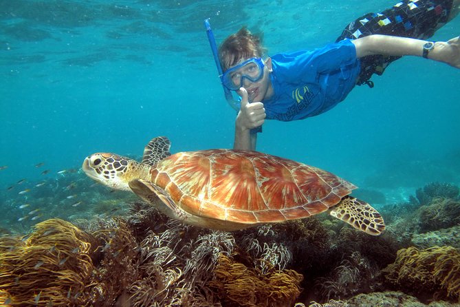 Ocean Spirit Sail to Michaelmas Cay Snorkel or Dive, from Cairns - Four hours to choose your own pace