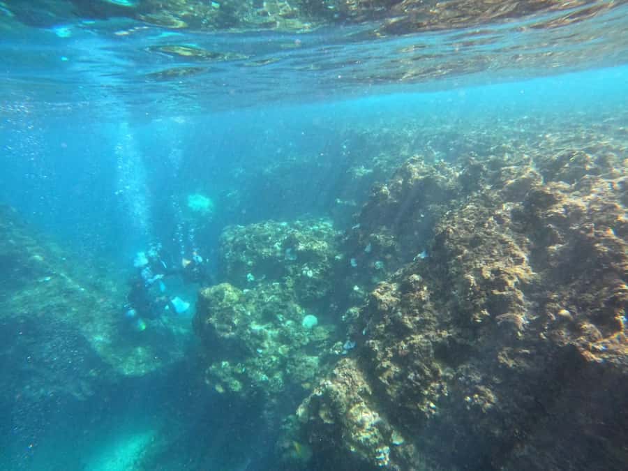 Okinawa: Blue Cave Private Snorkeling Tour with Guide - Hiro’s guiding style and English