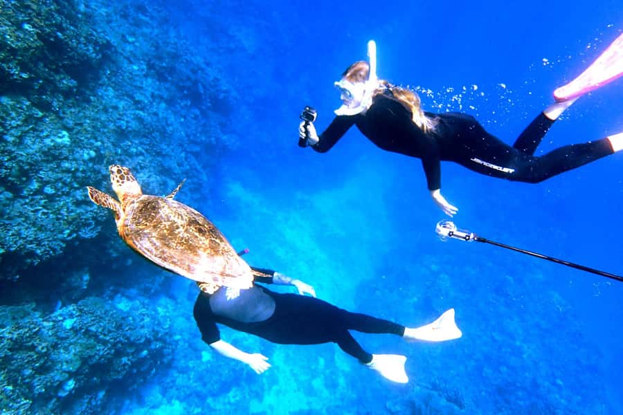 Okinawa: From Naha: Kerama Islands 1-day snorkeling tour - Practical details before you reserve