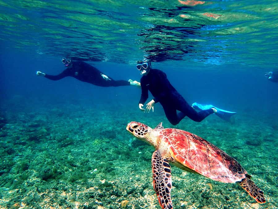 Okinawa: From Naha: Kerama Islands 1-day snorkeling tour - The second and third sites bring more variety