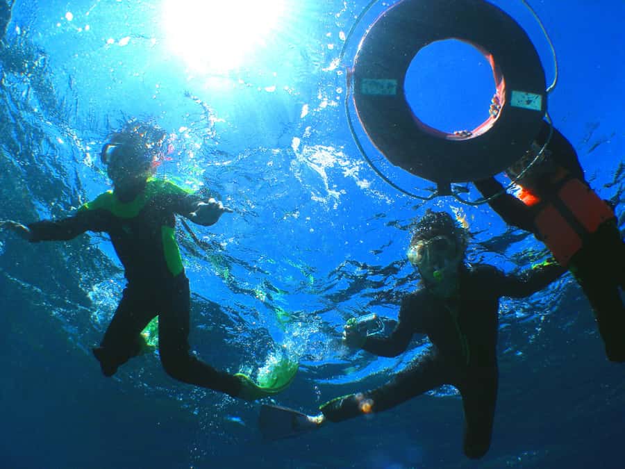 Okinawa: From Naha: Kerama Islands 1-day snorkeling tour - What the boat provides between swims