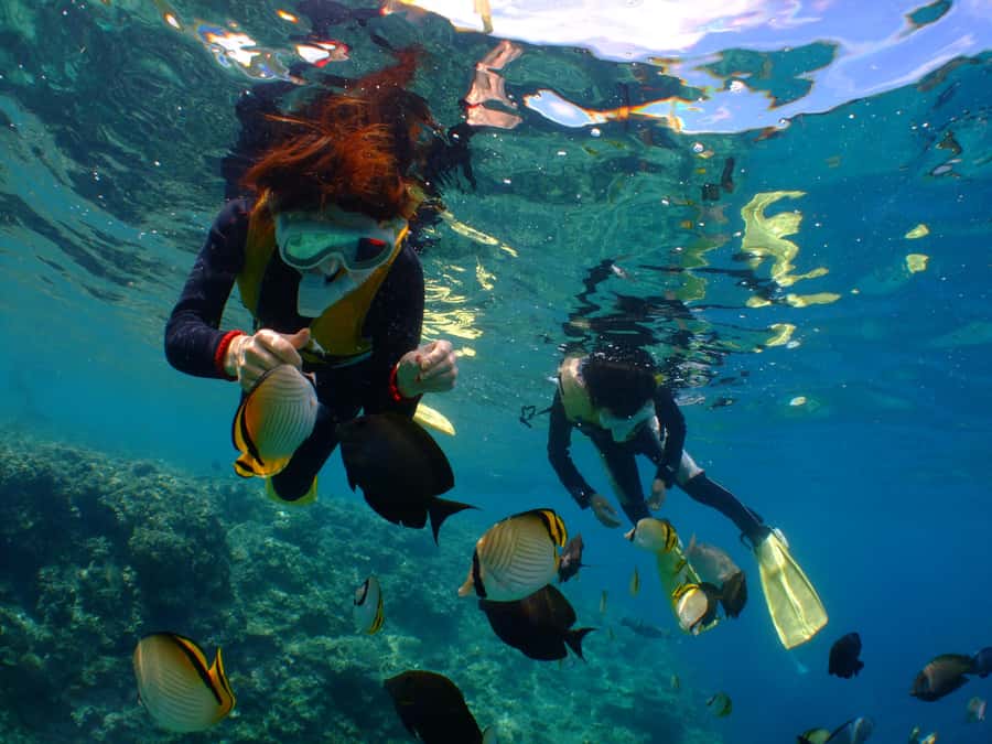 Okinawa : Kerama Whole Day Snorkeling Tour From Chatan/Naha - Reaching the Kerama reefs from Chatan or Naha