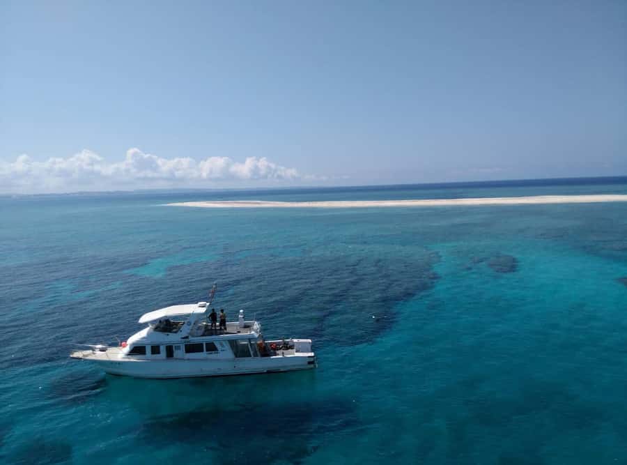 Okinawa : Kerama Whole Day Snorkeling Tour From Chatan/Naha - Coral, turtles, and the small details below the surface