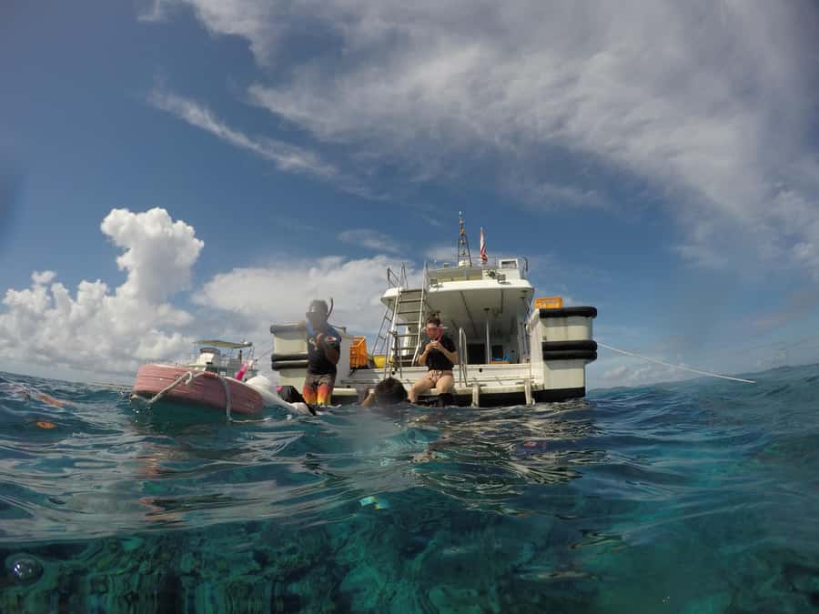 Okinawa : Kerama Whole Day Snorkeling Tour From Chatan/Naha - Choosing snorkeling or the one-time scuba option