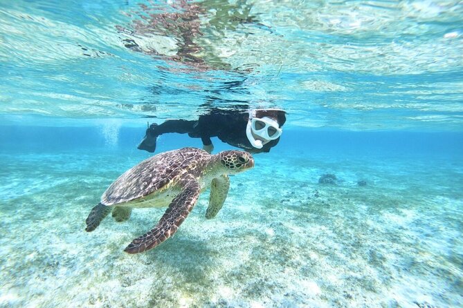 Okinawa Miyako Beach SUP or Canoe and sea turtle Snorkeling - Two water activities in one Miyakojima day