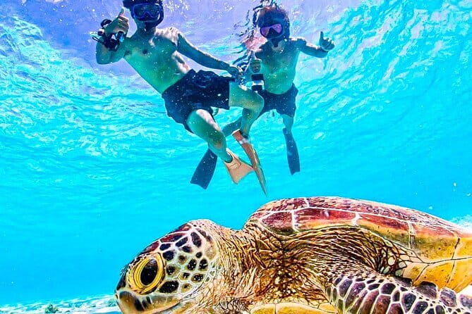 Okinawa Miyako Sea turtle Snorkeling Free Pick up and Drop off - Key points at a glance