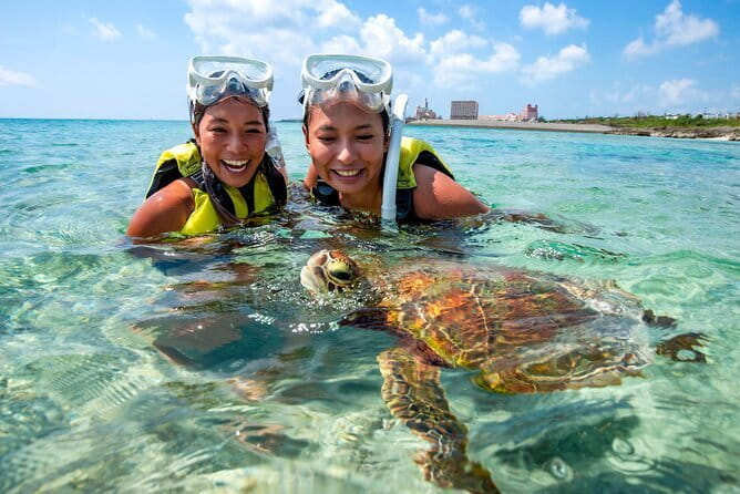 Okinawa Miyako Sea turtle Snorkeling Free Pick up and Drop off - Is $45.59 a fair price?