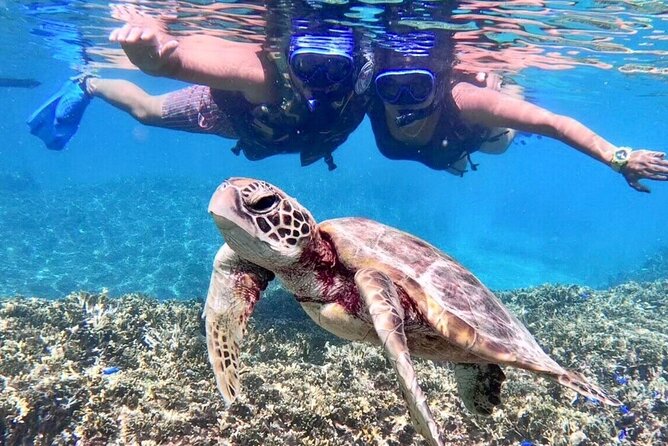 Okinawa Miyakojima 1 day Sea Turtle Snorkeling & Pumpkin Cave & Sea Kayak - Starting at Nishizatosoe in Gusukube