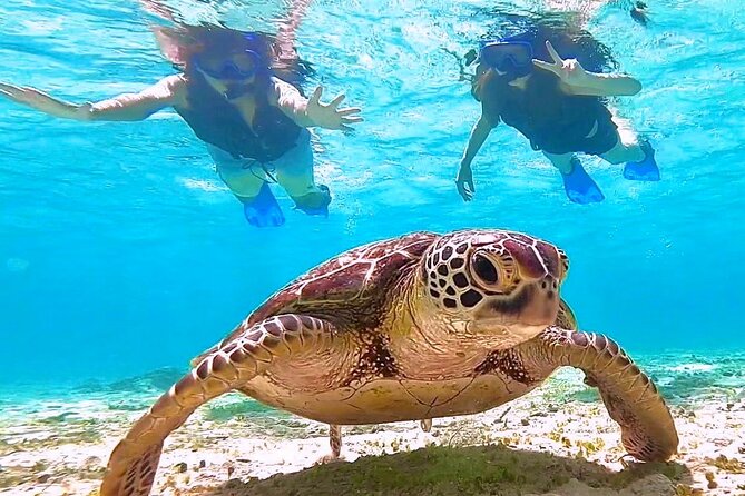 Okinawa Miyakojima 1 day Sea Turtle Snorkeling & Pumpkin Cave & Sea Kayak - Inside the cave: hands, feet, and a jump