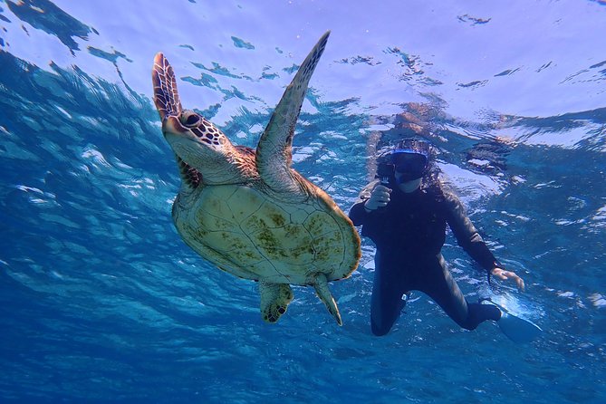 Okinawa Miyakojima 1 day Sea Turtle Snorkeling & Pumpkin Cave & Sea Kayak - What to wear and bring