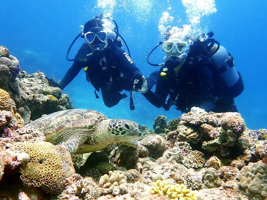 Okinawa:Naha:Kerama Island Experience １Dive and Snorkeling - Snorkeling among coral and close fish