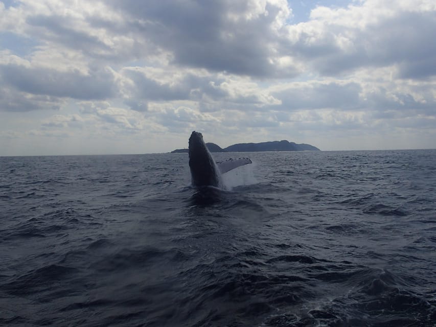 Okinawa:Naha:Kerama Island Experience １Dive and Snorkeling - The rhythm of the day on the boat