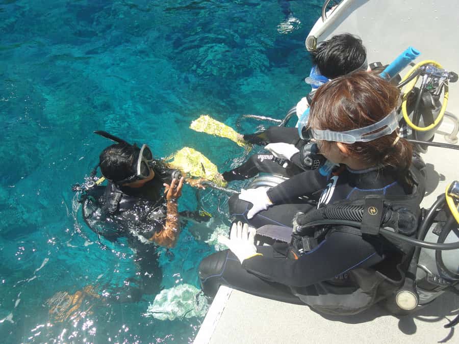 Okinawa:Naha:Kerama Island Experience １Dive and Snorkeling - Small details that make the day easier