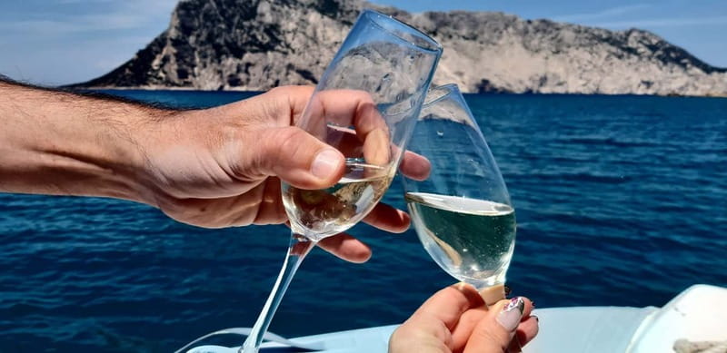 Olbia: Boat tour to watch Dolphins and snorkeling - A fast ride on the seven-meter Pholas