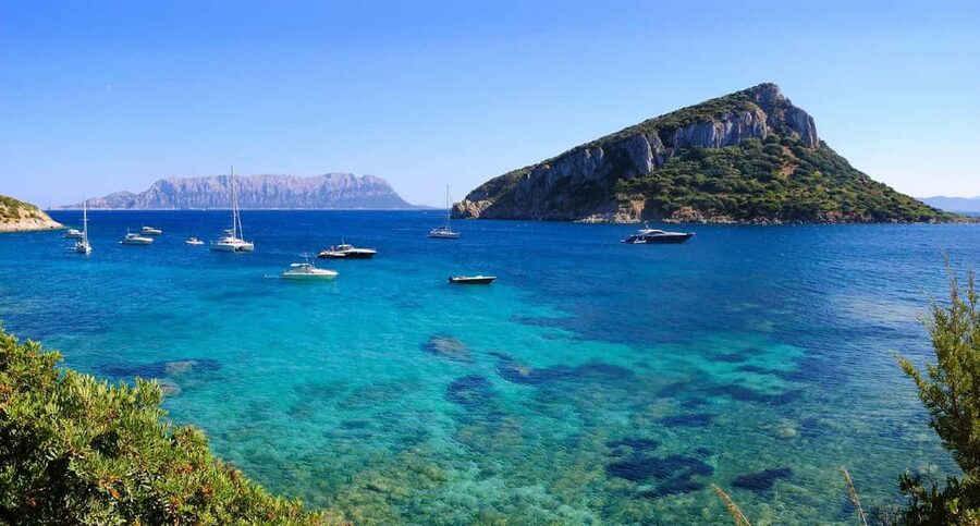 Olbia: Dolphin Watching and Snorkeling Boat Tour - Practical limits and who should skip it