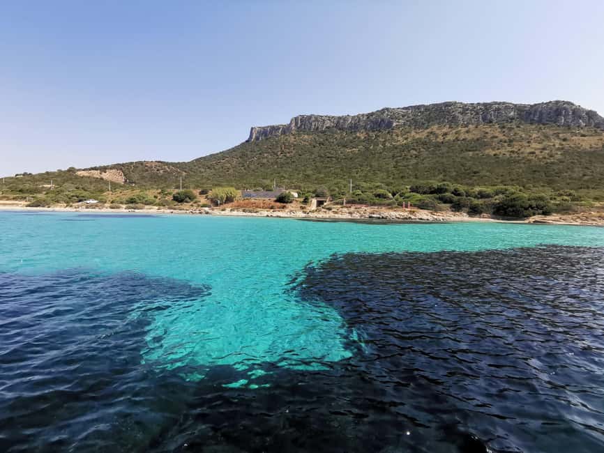 Olbia: Dolphin watching and snorkeling tour on Figarolo Island - Key points to know before booking