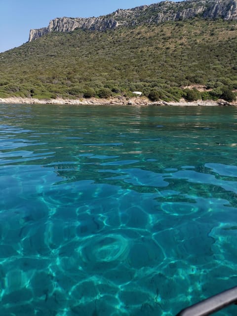 Olbia: Dolphin watching and snorkeling tour on Figarolo Island - What the $77 price really covers