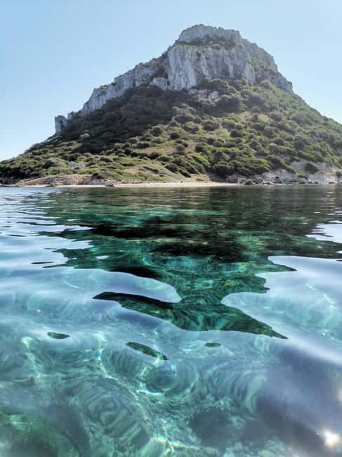 Olbia: Dolphin watching and snorkeling tour on Figarolo Island - Looking for dolphins around Figarolo Island